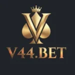 v44 game official icon