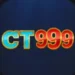 ct999 game official icon